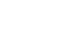 wisoft
